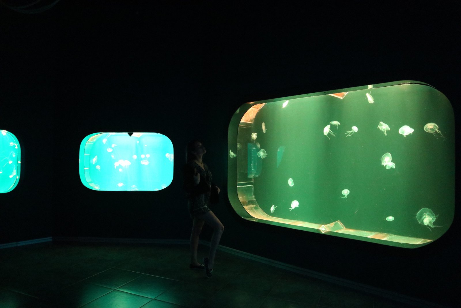 Rosi Ross - VISITING THE PRIMORSKY AQUARIUM