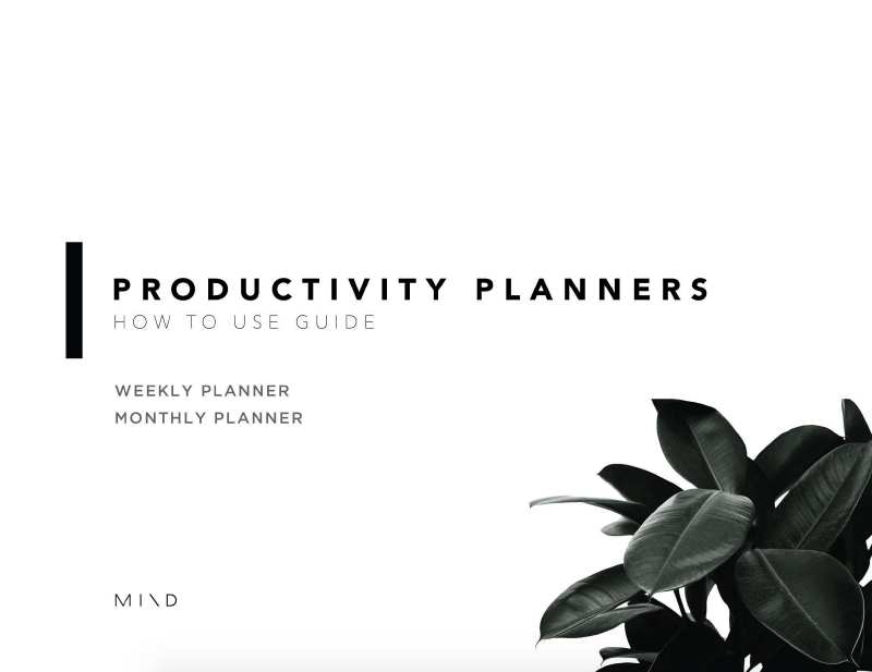 Mindplanner x Productivity