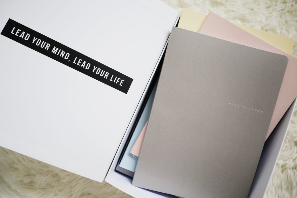 Importance of Mindplanner Rosi Ross