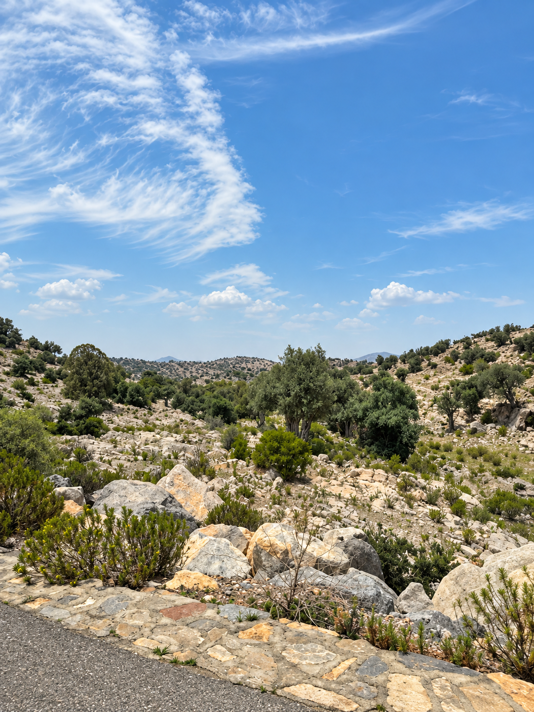 Alila Jabal Akhdar Butterfly Garden Rocky mountain landscape and native vegetation surrounding Alila Jabal Akhdar in Oman.