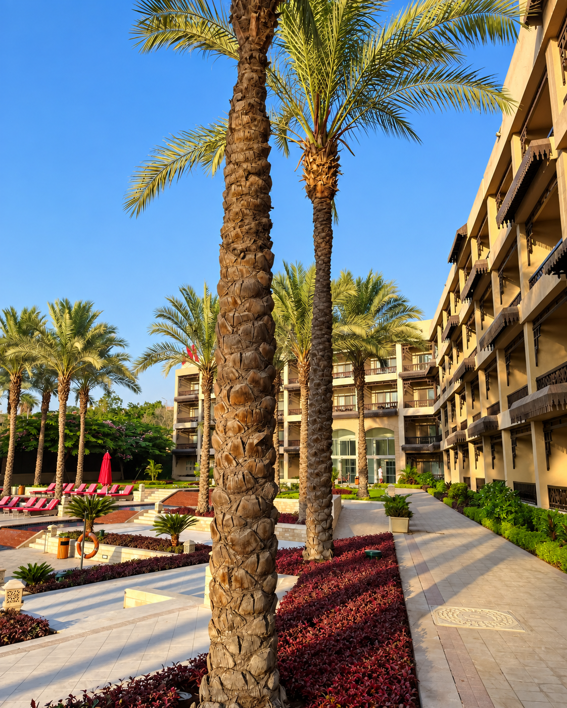View of a hotel courtyard with tall palm trees and surrounding buildings, under a clear blue sky at Marriott Mena House Hotel