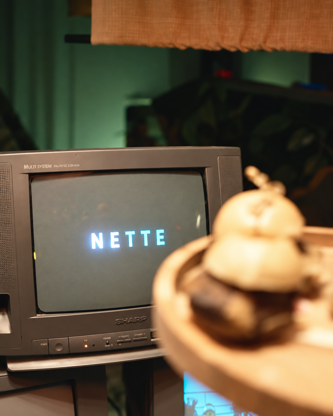 Nette Vintage CRT Monitor Display Party Aesthetics Vintage CRT monitor displaying NETTE text with hand holding objects in foreground