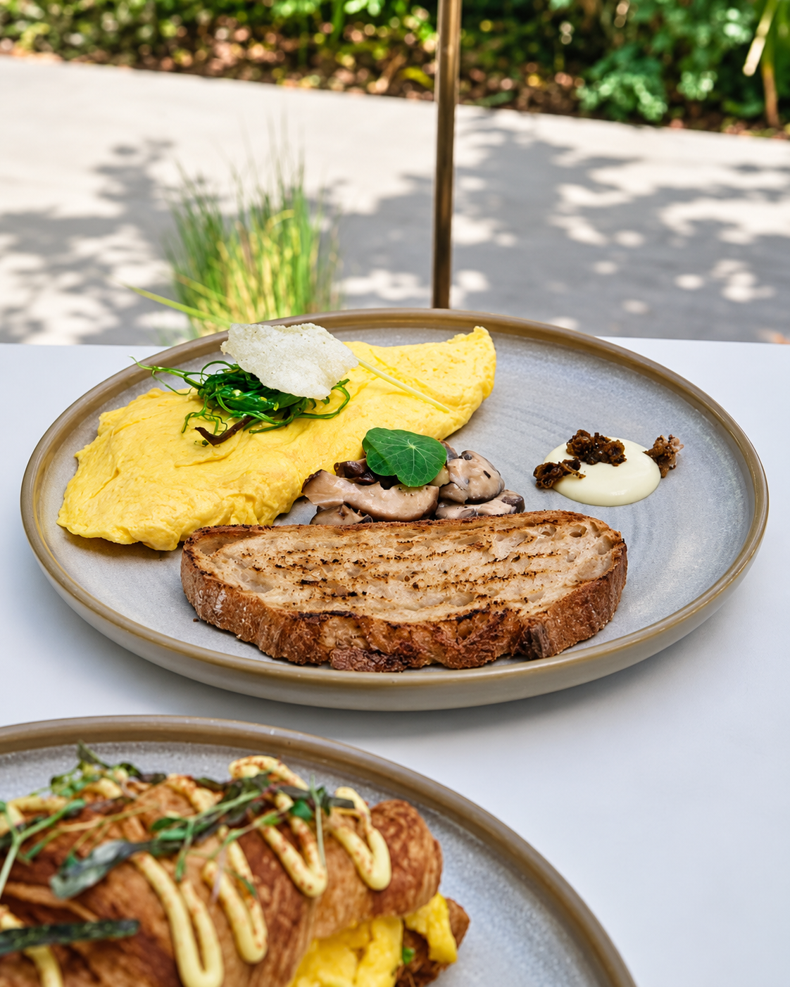 Nette Al Barari Gourmet Brunch Plate with Omelette and Toast Nette Al Barari plated brunch with poached egg omelette, sliced toast, mushrooms, and microgreens on a ceramic plate