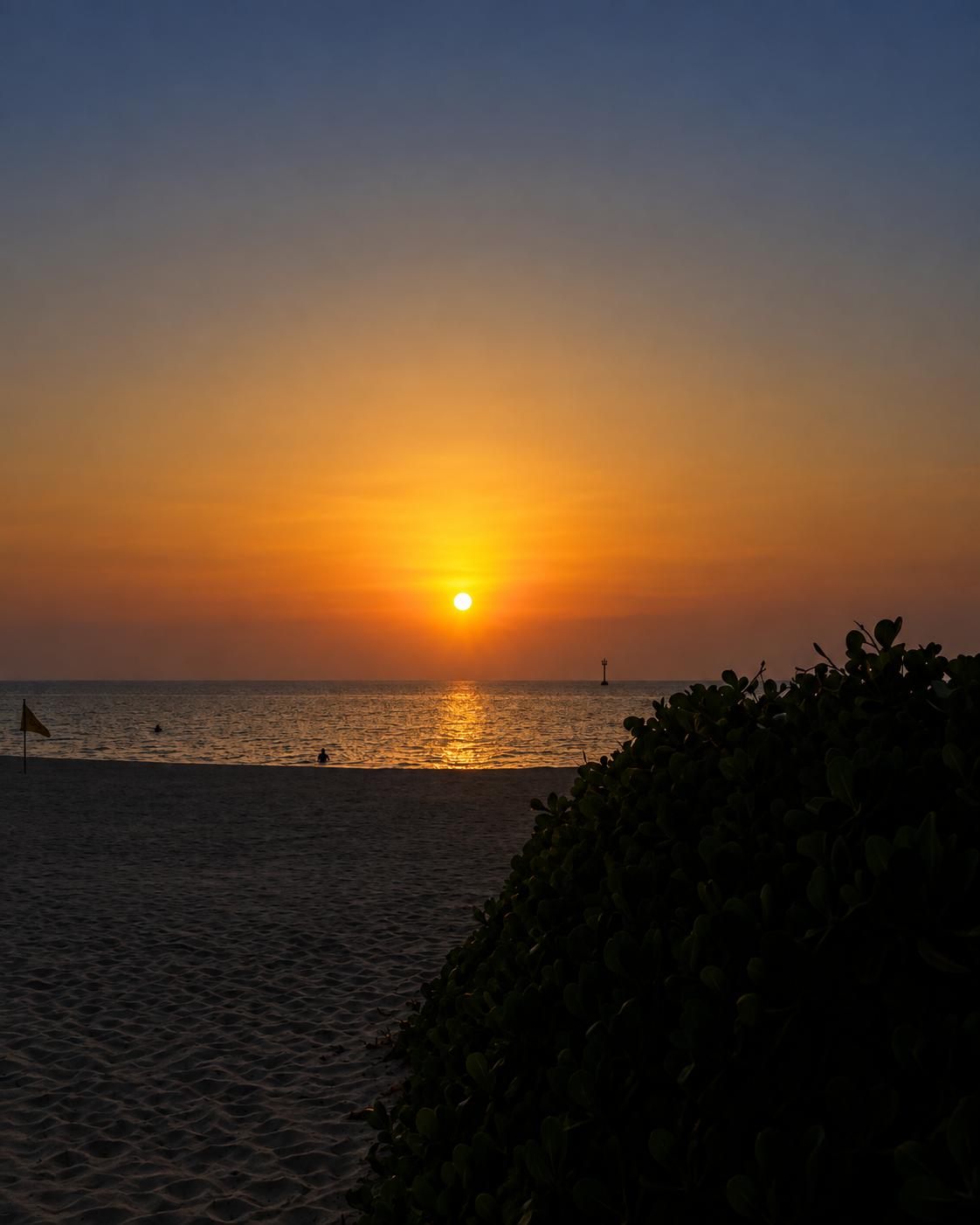 Golden Sunset Over Calm Ocean with Dark Beach Foreground at Nikki Beach Dubai Golden sunset over calm ocean with dark beach and silhouetted bushes in the foreground, vibrant reflection on water at Nikki Beach Dubai